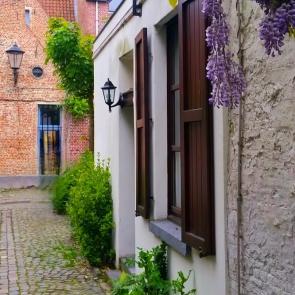 ���� ��������: 