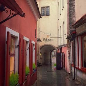 ���� ��������: �������, ������ �����