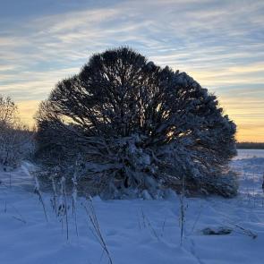 ���������� �����