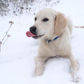 ����: ������ � ����� ����...