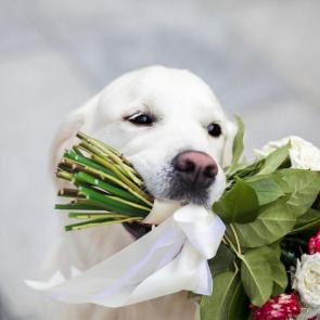 ����: ������ ����