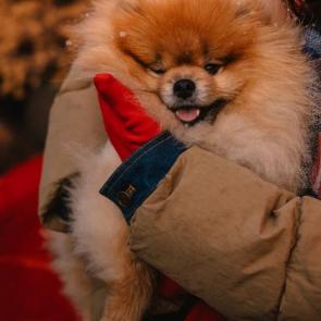 ����: ����� ������ ����