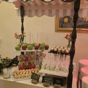 � ���� ���-����������