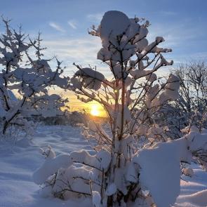 ����: ����� 