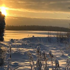 ����: �������