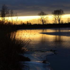 ���� ��������: �����