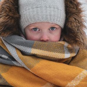 ������ ����������