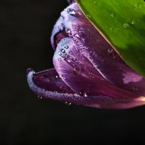 ����: ������� � ��������