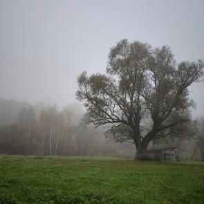 ����: �������� ����