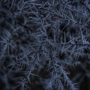 ����: ������� �����