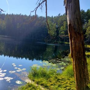 ����: ����� ������������ ����.