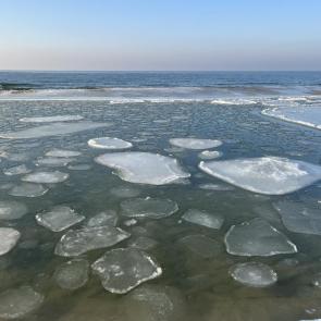 ����: ������ ���� 