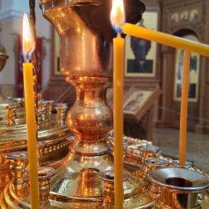 ����: �������