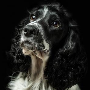 ���������� ������