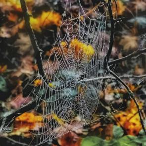 ����: ������� � ������� ���� 