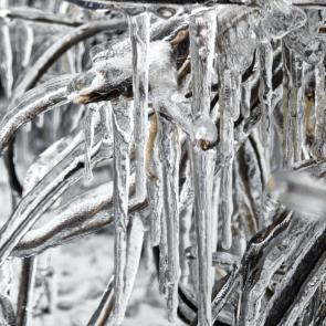 �������������� ���������������