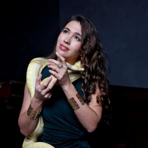 ����: ������ ������� ������� ���