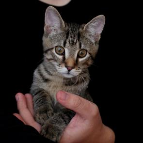 ����: �� ������