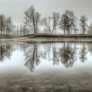 ����: ������ �������� ���� 