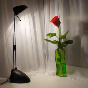 ����: ��������� ���������