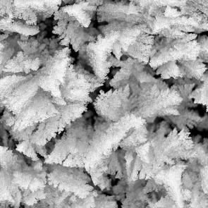 ���������� � ����� ���������