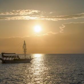 ����: ���������������