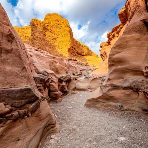 ���� ��������: ������� ������.�������.