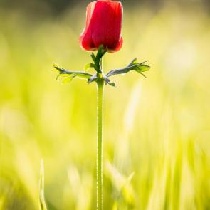 ����: ��������� ����������. 