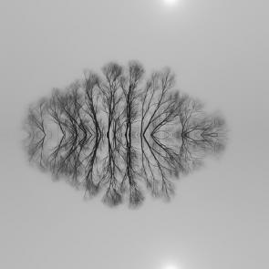 ����: ������