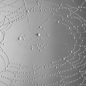 ����: � �������� ����