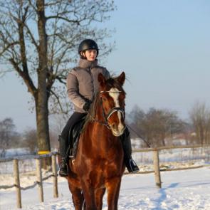 � ���� ����-������������