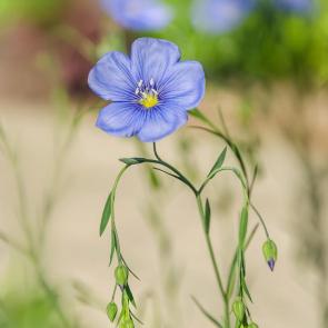 ����: �������� � ��������� ����