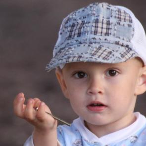 ����: ������