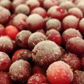 ����: ��������