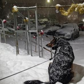 ����: ���� ���