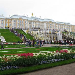 ����: ��������