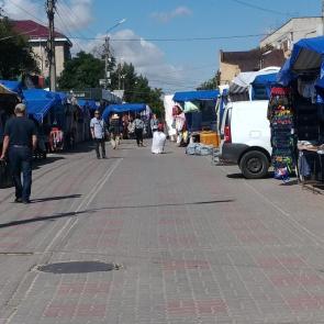 ����: ��������