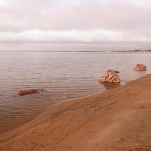 ����: ������ ����