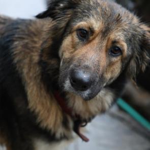 ����: �� ���� ������?