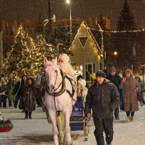 ����: ������ ����