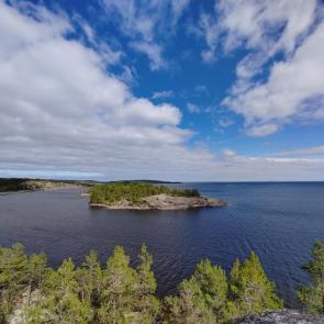 ����: ����� ����