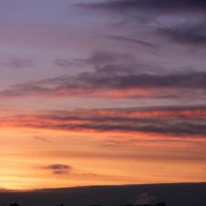 ���� ��������: ������ �����