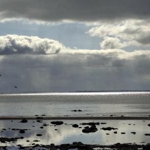 ����: ������� �����