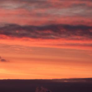 ����: �����