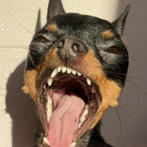 ���������� ������