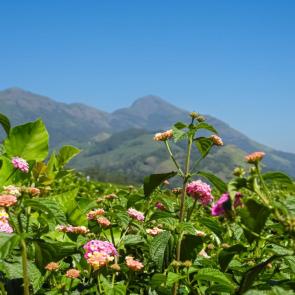 ����: ����� � ����� 