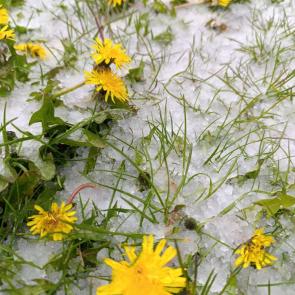 ����: ���������� � �����