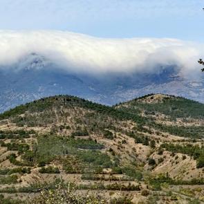 ����: ���� ������� ��������