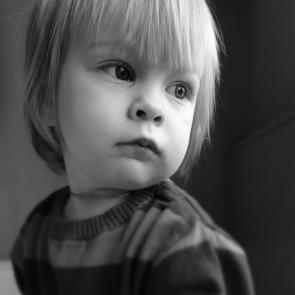 ����: ����������