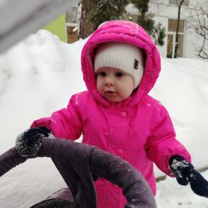 ����: ��������